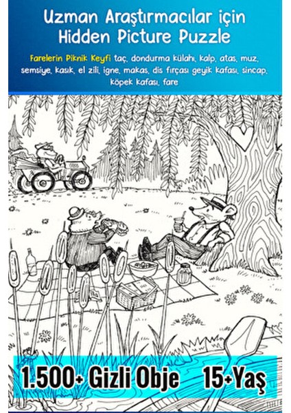 Uzmanlar İçin Hidden Pictures 2'li Set 15+ Yaş 251-300 Sayfa Türkçe