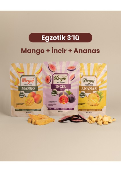 Freeze Dried Dryni Egzotik Üçlü Set