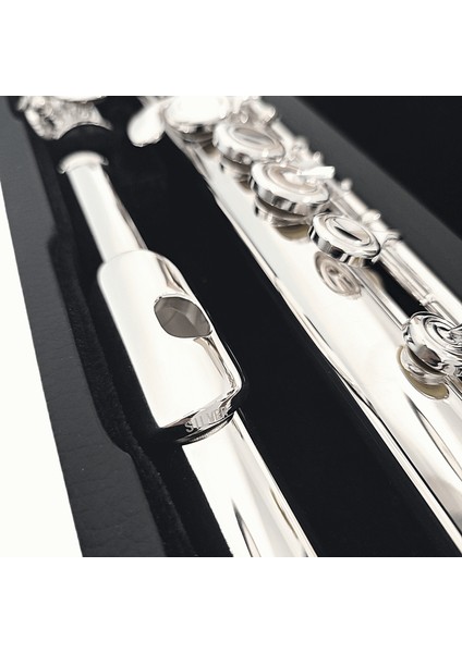 AG200 Gümüş Ambişür Yan Flüt modelleri