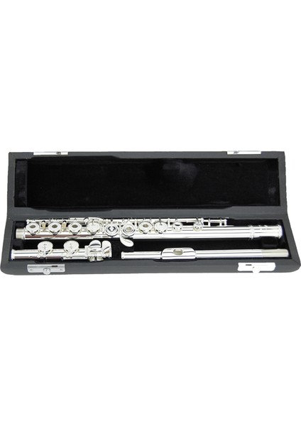 AG250 Gümüş Ambişür Yan Flüt Açık Perde