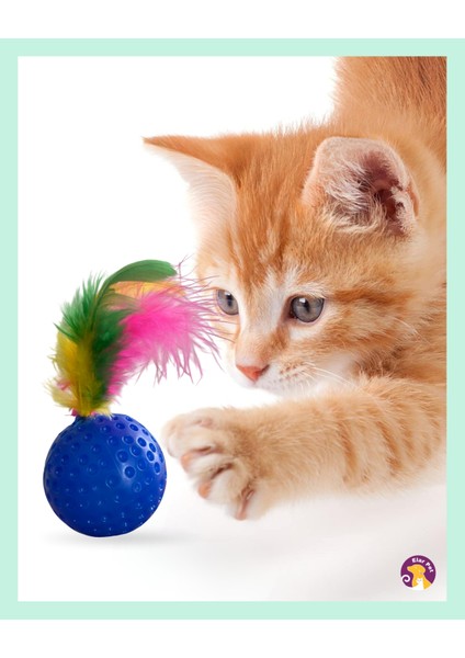 Tüylü Kedi Oyuncak Topu fiyatları