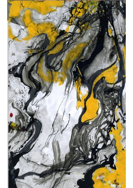 Ebru Siyah Sarı Kaymaz Tabanlı Yıkanabilir Halı Kilim Yolluk fiyatları