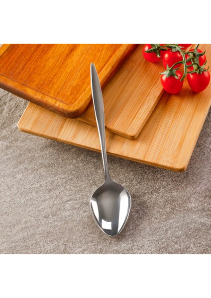 Elegant Servis Kaşığı fiyatları