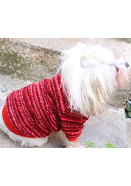 Kırmızı Köpek Kazak – Sıcak Tutan Şık Kışlık Köpek Kiyafeti modelleri