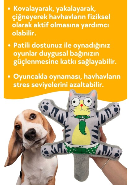Mihav Sesli Köpek Oyuncağı | Vikvik ve Hışırtılı Gri Kedi Şekilli Aktivite Oyuncağı indirimleri