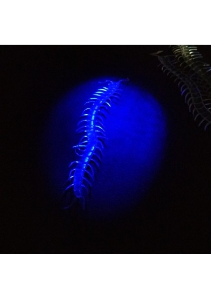 Şaka Yılan ve Kırkayak Karışık 36 Adet (5224) fiyatları