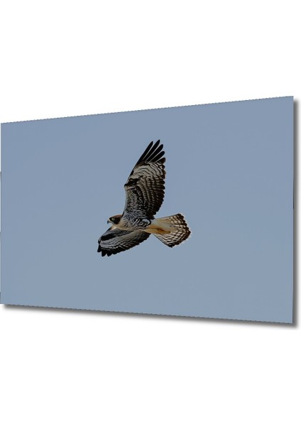 Çerçeve Görünümlü Tanklar ve Gemilerle Savaş Alanı Yağlı Boya Görünümlü Ahşap Ofis Yuvarlak Tablo fiyatları