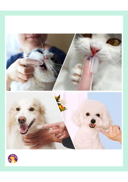 Silikon Parmak Evcil Hayvan Kedi ve Köpek Diş Fırçası indirimleri