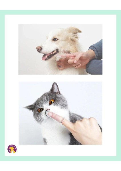 Silikon Parmak Evcil Hayvan Kedi ve Köpek Diş Fırçası