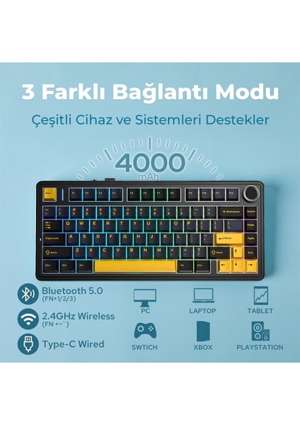 F75 Mekanik Rgb Tkl Reaper Switch Kablosuz Makrolu Hot Swap Klavye Siyah fiyatları