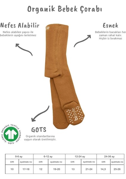 Bistyle Tekli Kaymaz Mix Havlu Külotlu Çorap 50501 Hardal fiyatları