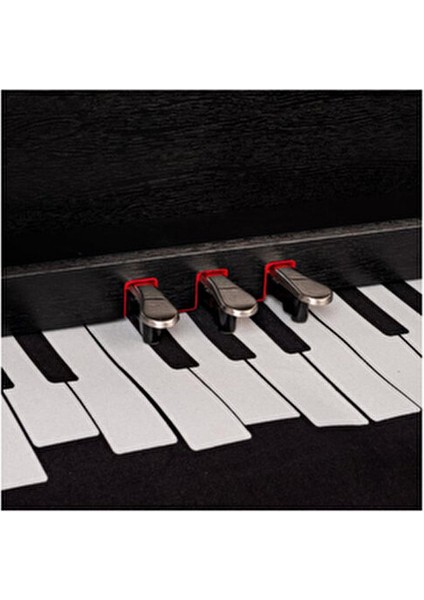 ADP 1983BNG Digital Piyano 81 Tuşlu Aktif Pedal ve Hammer Action Plus Teknolojisi