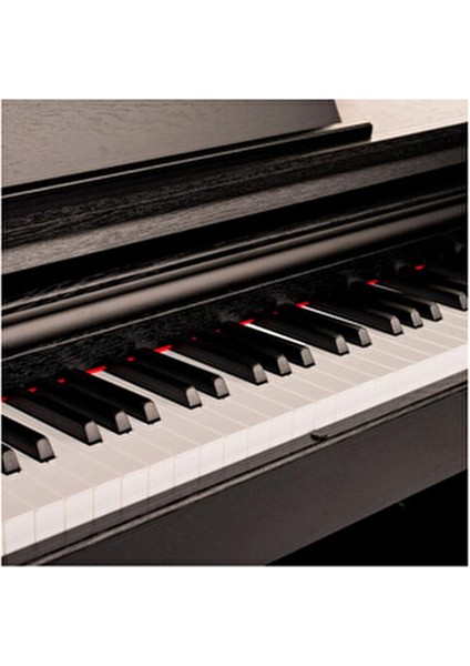 ADP 1983BNG Digital Piyano 81 Tuşlu Aktif Pedal ve Hammer Action Plus Teknolojisi
