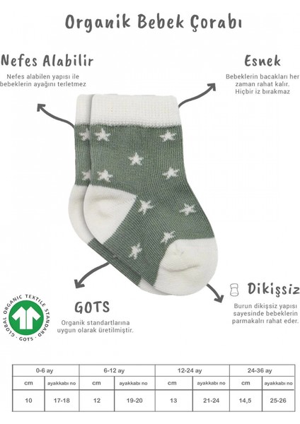 Bistyle 3'lü Penye Cute Stars Soket Çorap 10115 Nil fiyatları