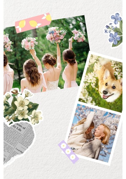 Mini Shot 2 Retro, Anlık Fotoğraf Makinesi ve Yazıcı, Bluetooth, 4pass, Beyaz fiyatları