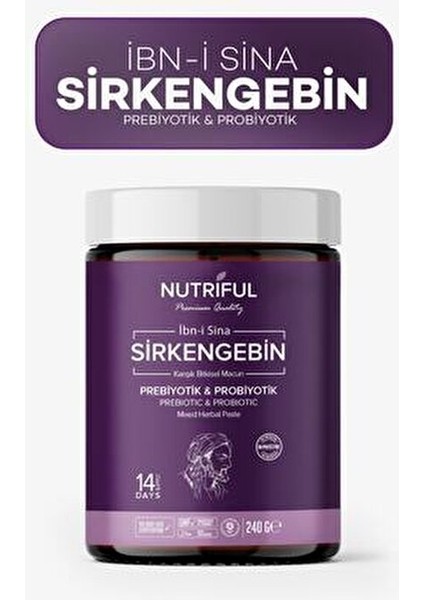 Ibn-I Sina Sirkengebin Prebiyotik Macunu modelleri