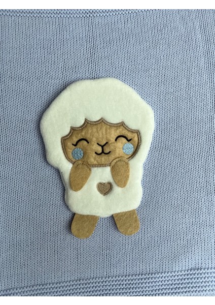 Kuzulu Triko Bebek Battaniyesi modelleri