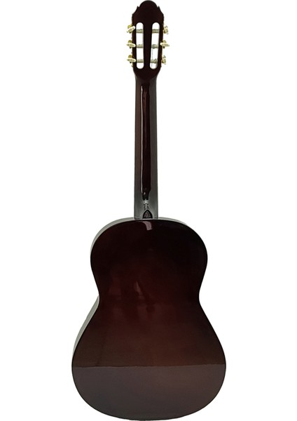 LCG851 Klasik Gitar Kılıf Hediyeli modelleri