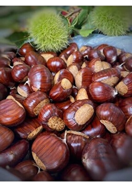 Simav Kestanesi Orta Boy 1000 gr -2024 Hasat (M.sarıaltın Mağaza Harici Satıcılara Dikkat Edin)