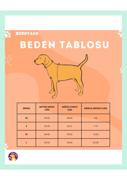 Gezdirmeli Göğüs Tasması Turuncu modelleri