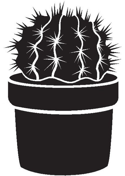 Saksı Çiçeği Kaktüs Model 6 Oto Özel Yeni Sticker 20 x 30 cm