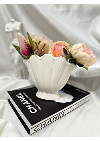 Istiridye Vazo, Dekoratif Vazo, Dekoratif Biblo Midye Vazo Deniz Kabuğu Şık Tasarım fiyatları