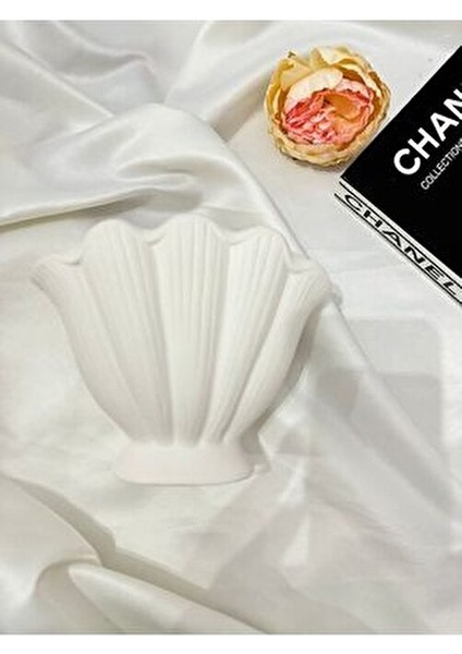 Istiridye Vazo, Dekoratif Vazo, Dekoratif Biblo Midye Vazo Deniz Kabuğu Şık Tasarım modelleri