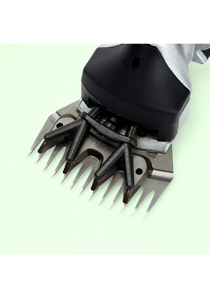 500W 80MM Elektrikli Koyun Keçi Hayvan Beiyuan Bıçaklı Kırkma Kırpma Kesme Makinası Makinesi Cihazı fiyatları