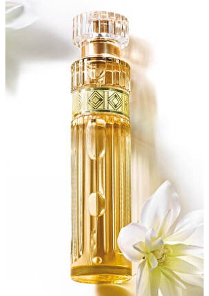 Premiere Luxe Kadın Edp modelleri