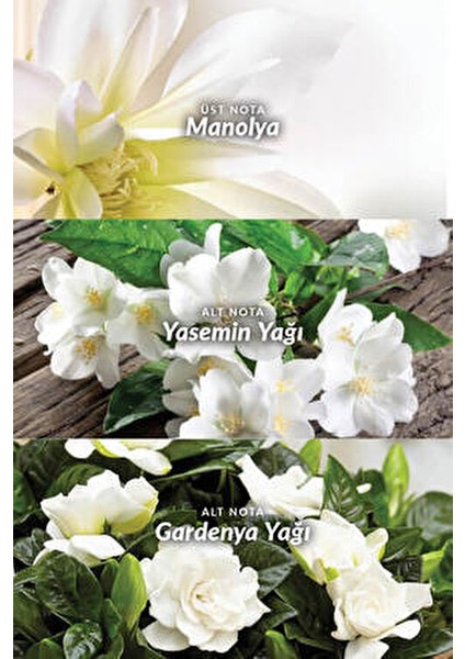 Premiere Luxe Kadın Edp fırsatları