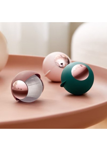 Taşınabilir ve Yıkanabilir Tiftik ve Tüy Toplayıcı Kıl Toz Elbise Tiftik Temizleyici Top (5224) indirimleri