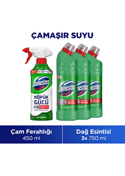 Köpük Çamaşır Suyu Çam Ferahlığı 450 ml X1 + Çamaşır Suyu Dağ Esintisi 750 ml X3