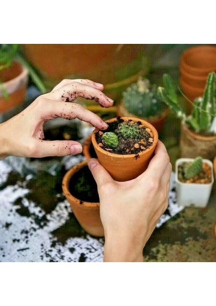 ORGANİK BİTKİ TOPRAĞI TORF KARIŞIMI 20 LİTRE fiyatları