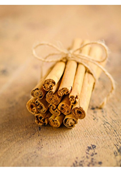 Seylan Tarçını 50 Gr. fiyatları