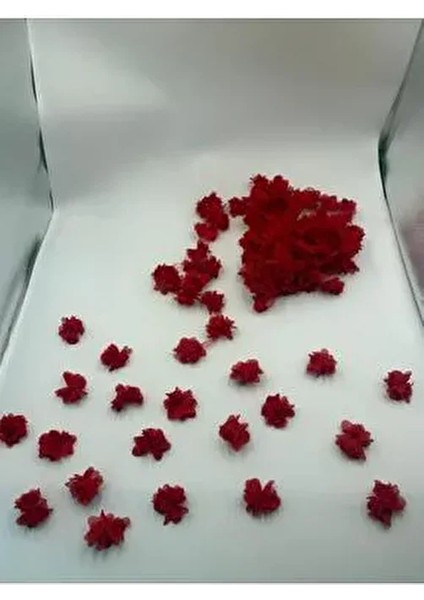 Kırmızı Lazer Kesim Gül Süsleme Paketleme 20 Adet Lazer Kesim Gül