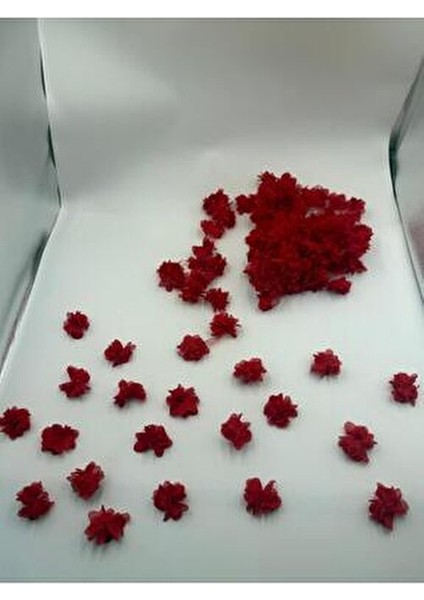 Kırmızı Lazer Kesim Gül Süsleme Paketleme 20 Adet Lazer Kesim Gül fiyatları