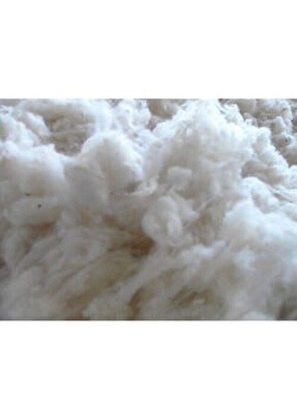 1 Kilo Pamuk Ekru 1. Sınıf Yüksek Kalite 1000 Gram Hassas Ciltler İçin