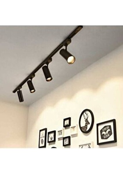 Rayspot 30W Siyah Kasa Günışığı 4 Adet Spot 1ADET 1mt Ray