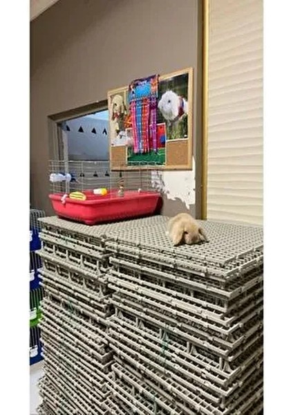 50X50 Ölçü Plastik Tavşan Kafesi Taban Izgarası [ 1 Adet ] fiyatları