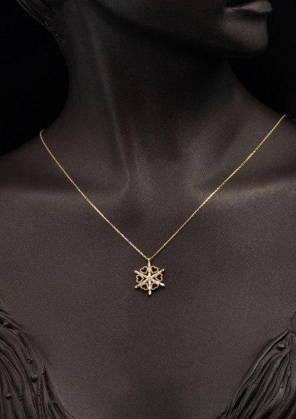 Kalpli Kartanesi 14 Ayar Altın Kolye fiyatları