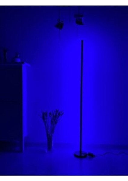LED Lambader - Dekoratif, Rgb Kumandalı Çok Renkli, Yuvarlak Ayaklı LED Işık - LED Lamba fiyatları