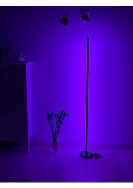 LED Lambader - Dekoratif, Rgb Kumandalı Çok Renkli, Yuvarlak Ayaklı LED Işık - LED Lamba modelleri