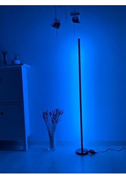 LED Lambader - Dekoratif, Rgb Kumandalı Çok Renkli, Yuvarlak Ayaklı LED Işık - LED Lamba fırsatları