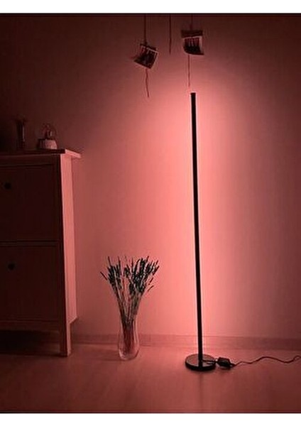 LED Lambader - Dekoratif, Rgb Kumandalı Çok Renkli, Yuvarlak Ayaklı LED Işık - LED Lamba indirimleri