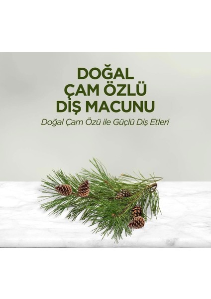 Bfs Eyüp Sabri Tuncer Doğal Diş Macunu 90 gr Çam Özlü fiyatları