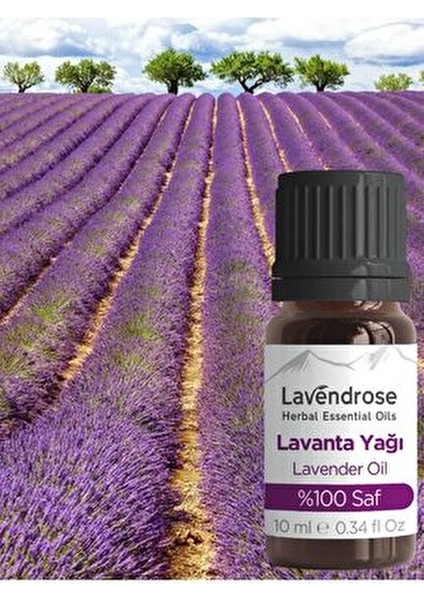 Lavanta Yağı %100 Saf - Bitkisel Aromaterapi Lavanta Uyku ve Stres Yağı 10ML - Uçucu Yağ fiyatları