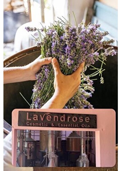 Lavanta Yağı %100 Saf - Bitkisel Aromaterapi Lavanta Uyku ve Stres Yağı 10ML - Uçucu Yağ modelleri