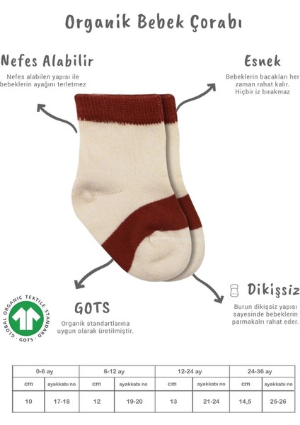 Bistyle 3'lü Penye Rainbow Soket Çorap BS10113 Kiremit fiyatları