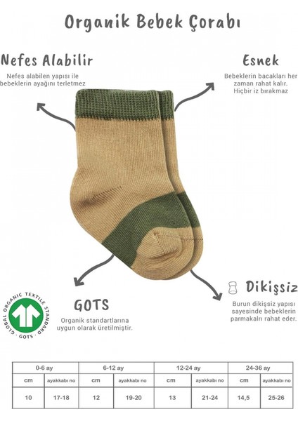 Bistyle 3'lü Penye Rainbow Soket Çorap BS10113 Nil fiyatları