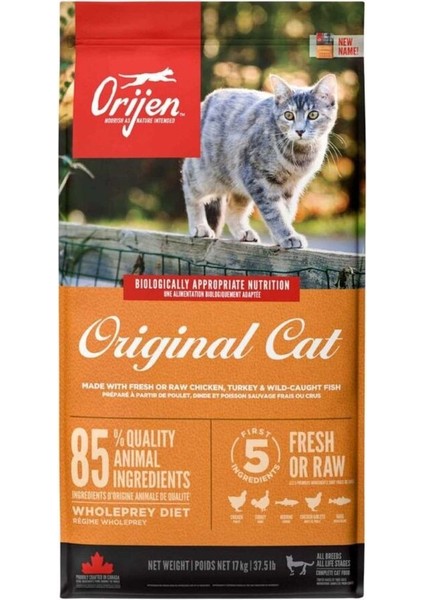 Original Cat Tahılsız Yavru ve Yetişkin Kedi Maması 17KG